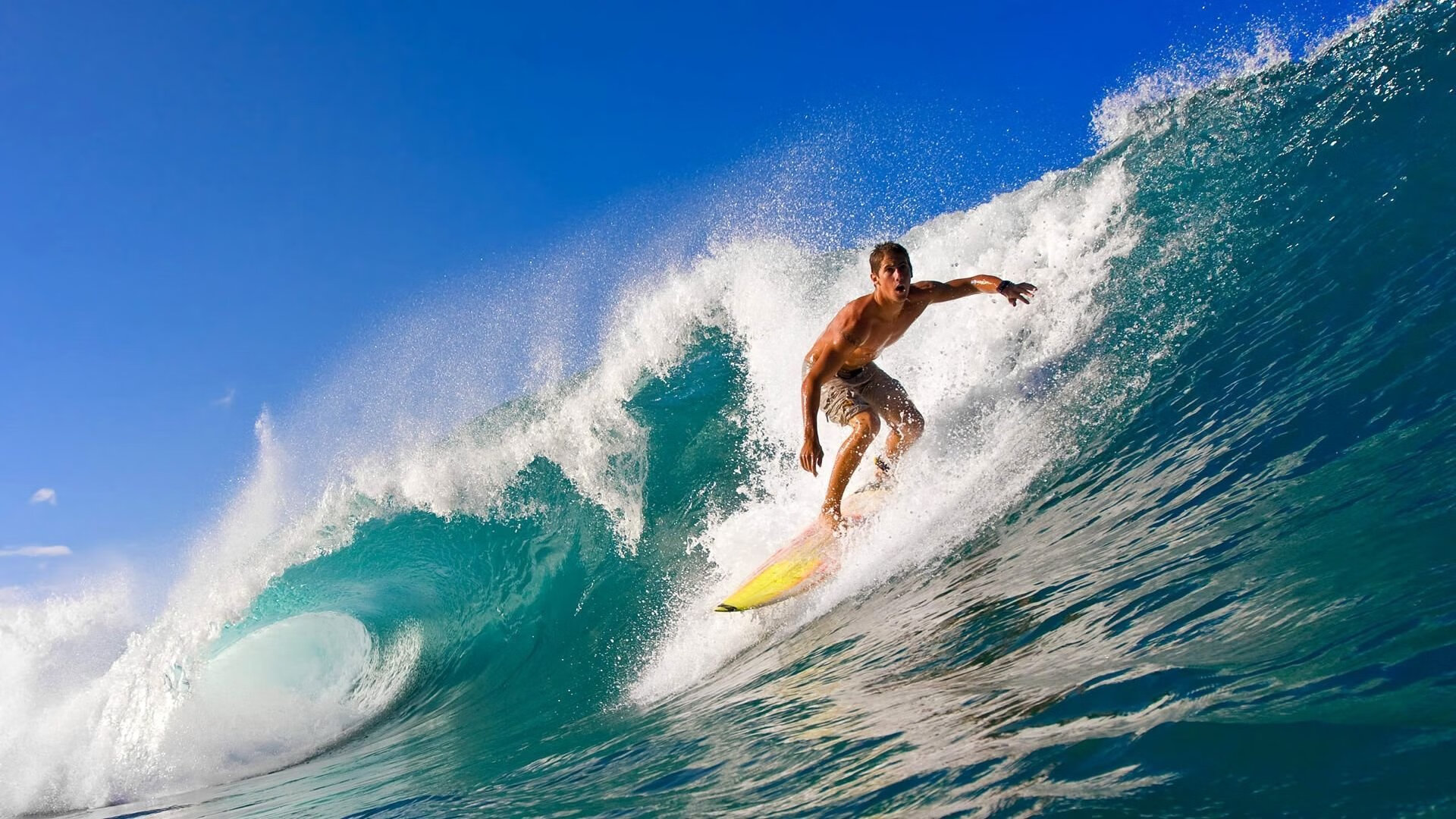 卡普尔凭借坚韧的意志与速度优势，成为袋鼠队重要的反击利器，万代卡普尔